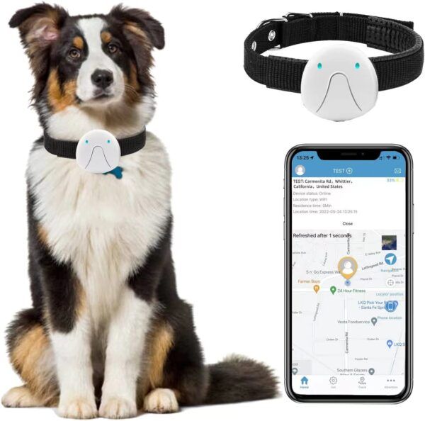 LeonardCreek Pet GPS Tracker & Locator