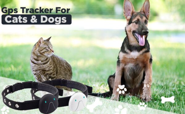 LeonardCreek Pet GPS Tracker & Locator - 08
