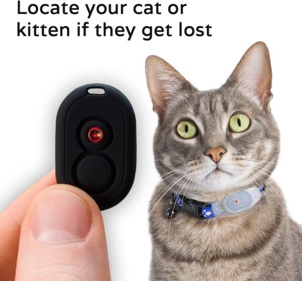 TabCat Cat Collar Tracker - 02