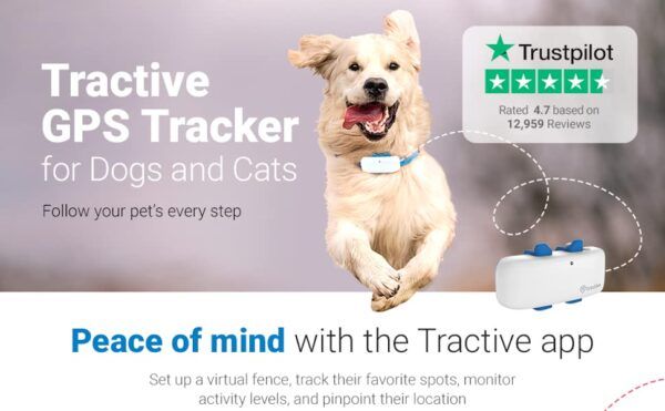 Tractive GPS Cat Tracker - 10