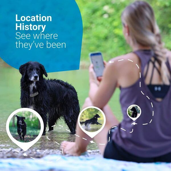 Tractive GPS Dog Tracker - 09