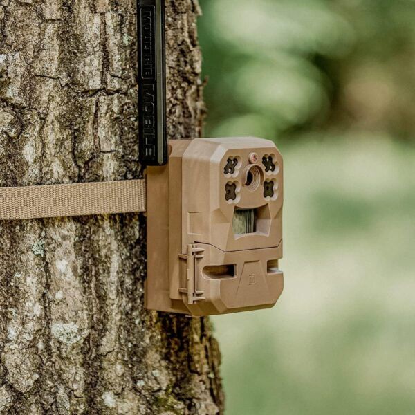 Moultrie Cellular Trail Camera 11