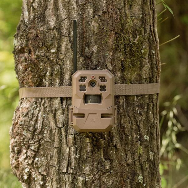 Moultrie Cellular Trail Camera 12