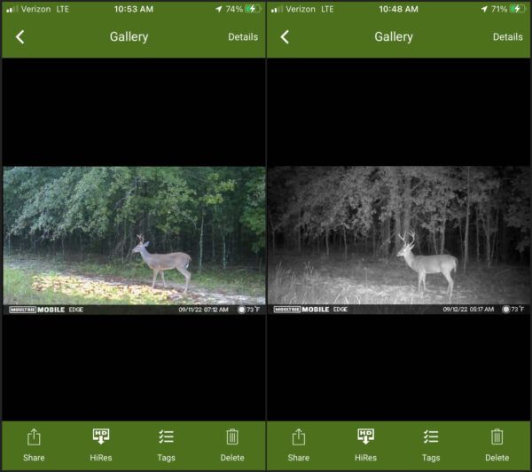 Moultrie Cellular Trail Camera - day and night vision