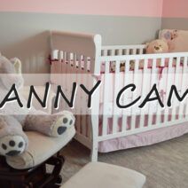 Nanny Cams