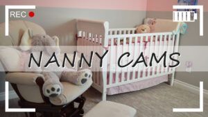 Nanny Cams