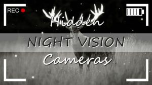 Night Vision Hidden Cameras